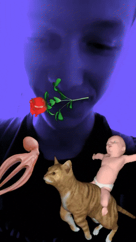 jojo273 giphyattribution giphycreatortest ambre tchoubalope GIF