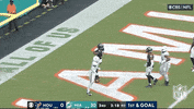Houston Texans Football GIF by NFL