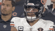 National Football League GIF by NFL