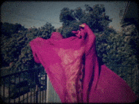 merge records spinning GIF by Hollie Cook