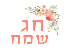 Noy_mozes giphyupload נוי מוזס noymozes Sticker