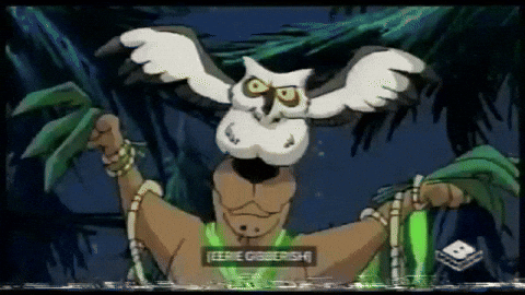 veebsvcr boomerang whats new scooby doo GIF