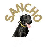 Truffe Blacktruffle Sticker by Trufas del Nuevo Mundo