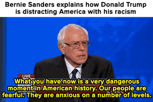 donald trump news GIF