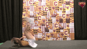 Wten GIF by CUCougars