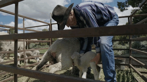 balls deep GIF by BALLS DEEP with Thomas Morton