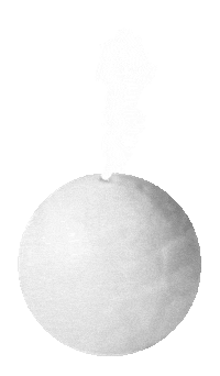 Essential Oil Wellness Sticker by POOSH