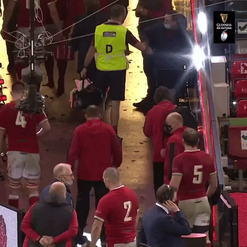 Wales Rugby Sport GIF by Guinness Six Nations