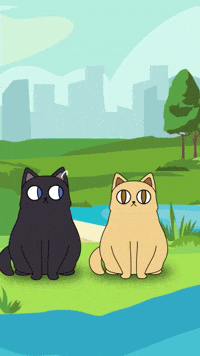 Cat Thought 