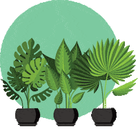 Plants Garden Sticker by PRO-MIX Gardening