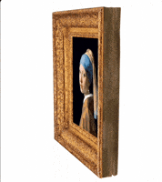 Girl With A Pearl Earring Art GIF by ElmonX