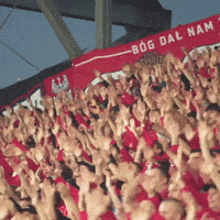 Football Soccer GIF by Widzew Łódź