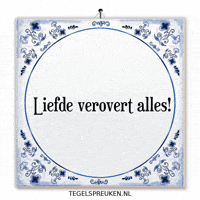 Humor Nl GIF by Tegelspreuken.nl