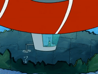 season 5 GIF by SpongeBob SquarePants
