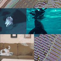 GIF by Canek