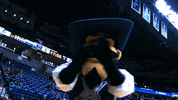 xavier university big east mascots GIF by BIG EAST Conference