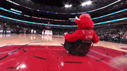 Benny The Bull Nba GIF by Chicago Bulls