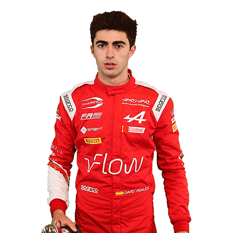 David Alpine Sticker by Prema Team