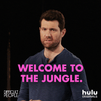 hulu comedy new york hulu difficult people GIF