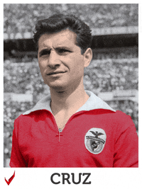 Sl Benfica Cruz GIF by Sport Lisboa e Benfica