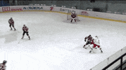 salzburg red bull hockey GIF