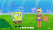 season 9 episode 23 GIF by SpongeBob SquarePants