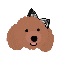 Toy Poodle Sticker