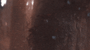 Scared Short Film GIF by Red Giant