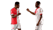 Football Hello Sticker by SK Slavia Praha