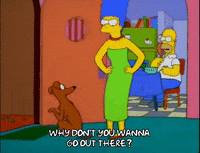 homer simpson GIF