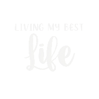 Fun Life Sticker