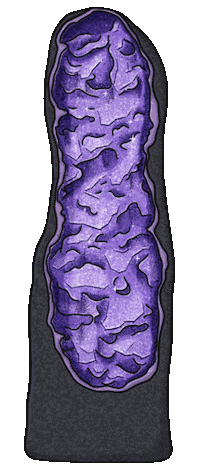 Rocks Amethyst Sticker by American Museum of Natural History