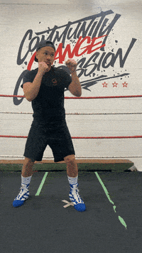 quinitboxing  GIF