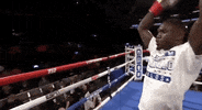 toprank fight boxing fighting espn GIF