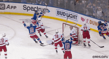 Ice Hockey Hug GIF by NHL