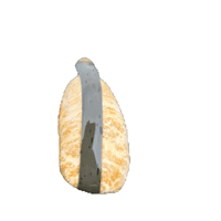 FISHSTONE loop bleifrei fishstone fishyfishstone Sticker