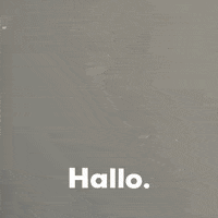 Linanatascha GIF by zebra | group