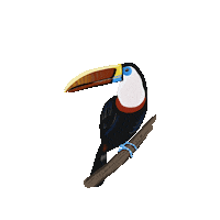 Happy Good Morning Sticker