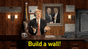 donald trump GIF by theFC