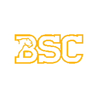 Panthers Bsc Sports Sticker by Birmingham-Southern Athletics