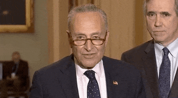 You Cant Hide Chuck Schumer GIF