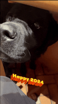 Happy 2024 GIF by Jacob Graff