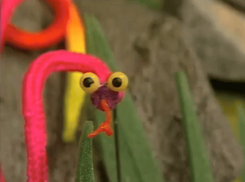 Snake