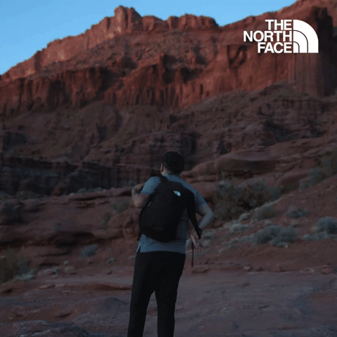 Have You Ever - The North Face