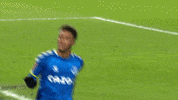Premier League Soccer GIF by Everton Football Club