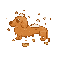 chloeandlala dog dachshund 狗 sausage dog Sticker