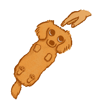 chloeandlala dachshund sausage dog wiener dog 狗狗 Sticker