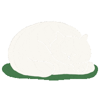 Cat Sticker