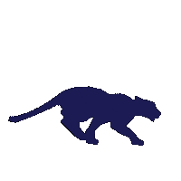 Panthers F45 Training Sticker by F45 Training Cambridge Station