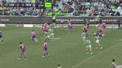 Try Nrl GIF by Canberra Raiders